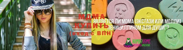 гидра Верея