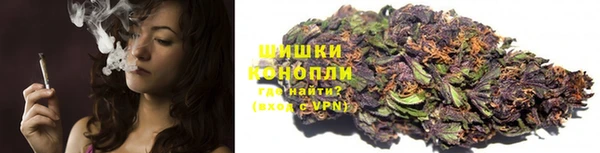 стаф Верхний Тагил
