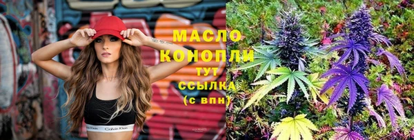 стаф Верхний Тагил