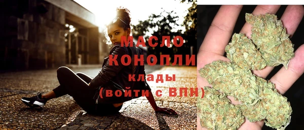 гидра Верея