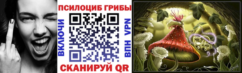 Псилоцибиновые грибы ЛСД  Купить закладки  Амурск 
